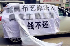 属猪人迎来转机，明年运势大揭秘